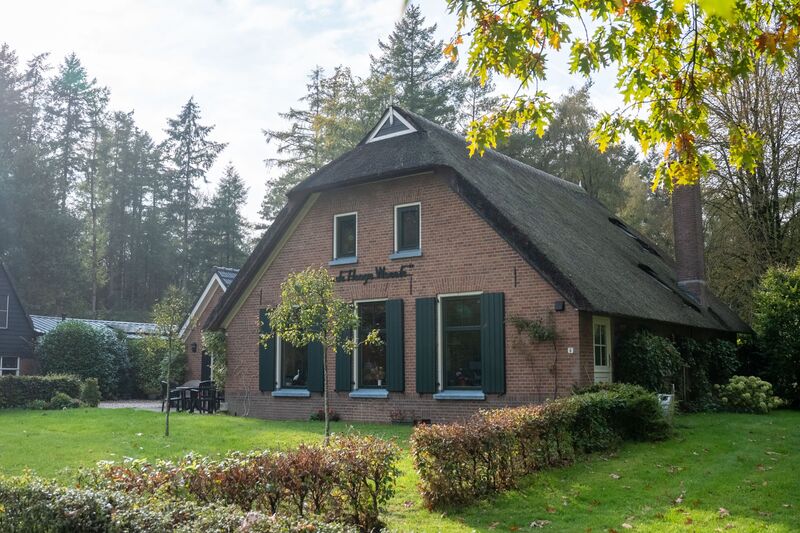 Boerderij met rieten dak en groene luiken in de zon