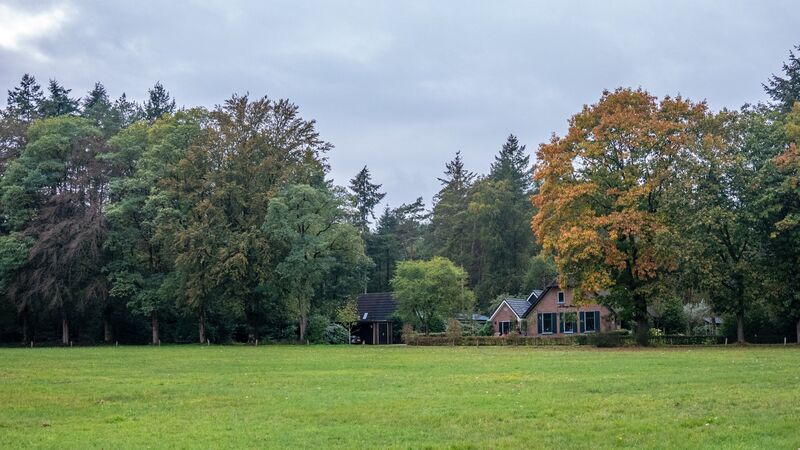 De boerderij tussen de bomen, gezien over de wei