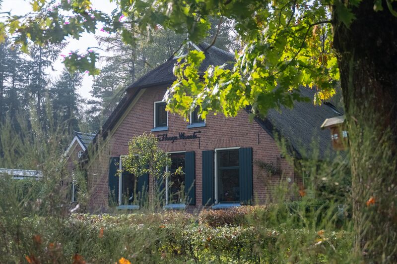 Boerderij gezien door de bladeren van een eik