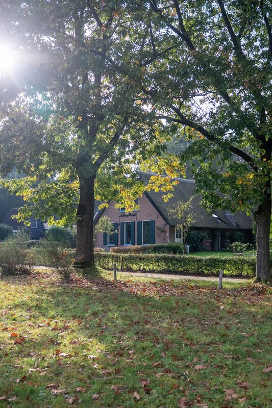 Zon schijnt door de eiken voor de boerderij