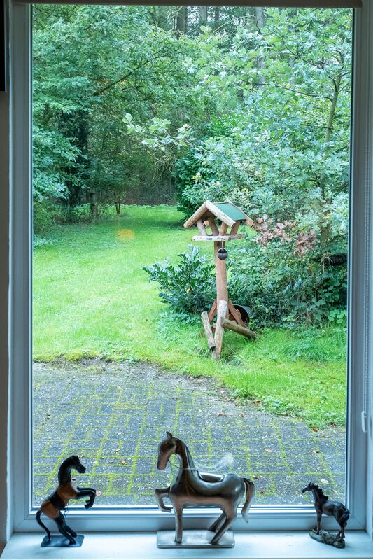 Uitzicht op de tuin met vogelhuisje